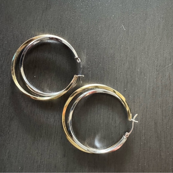 Elegant Two-Tone Hoop Earrings - Picture 1 of 2